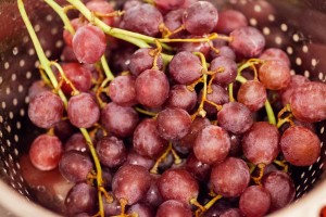 Die Weintrauben werden gründlich gewaschen und abgetropft.